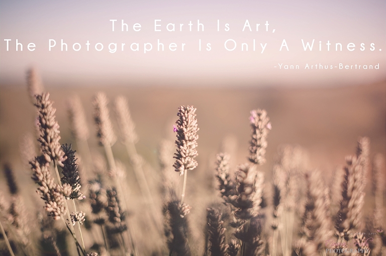 The earth is art, the photographer is only a witness