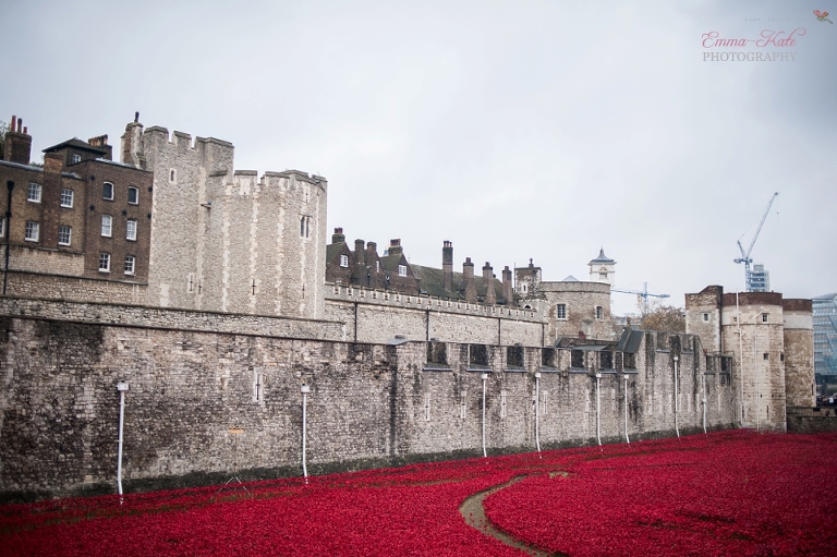 Tower of London poppies-1