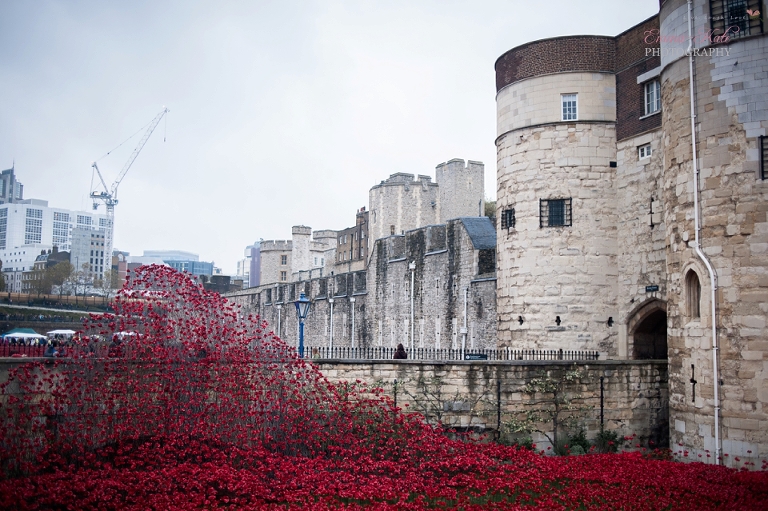 Tower of London poppies-3