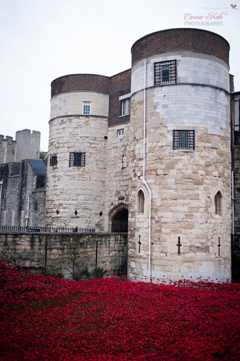 Tower of London poppies-4