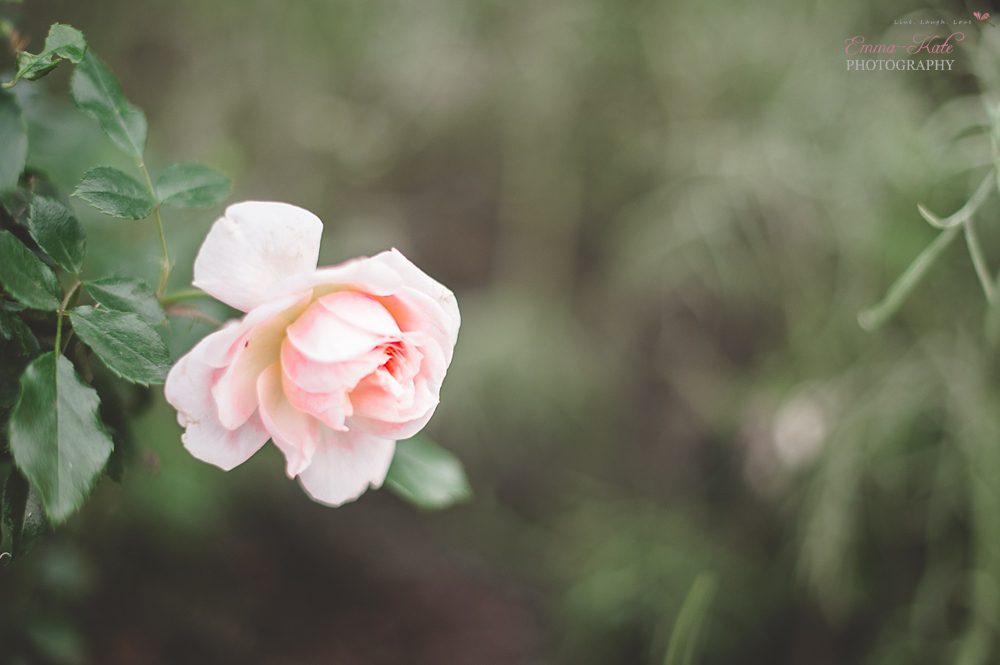 Cornwall-84_Kent Newborn Photography