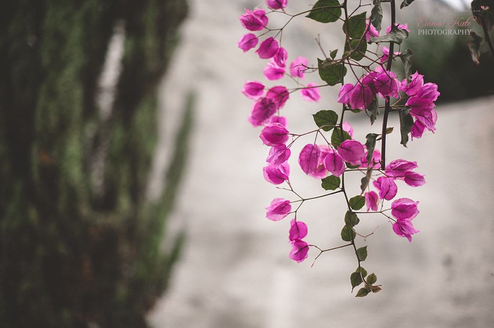 Cornwall-88_Kent Newborn Photography