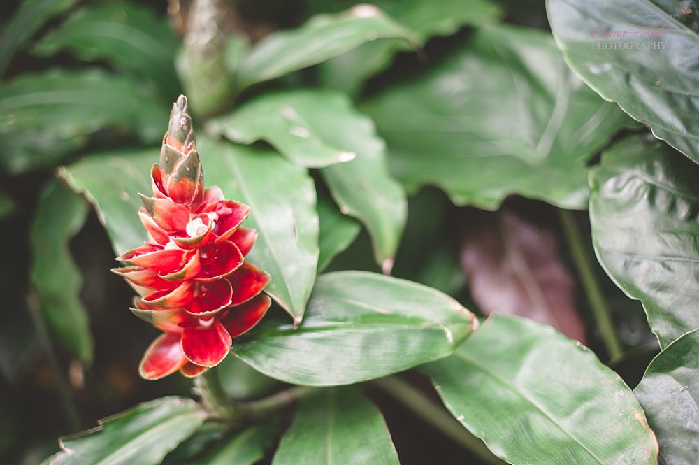 Cornwall-89_Kent Newborn Photography
