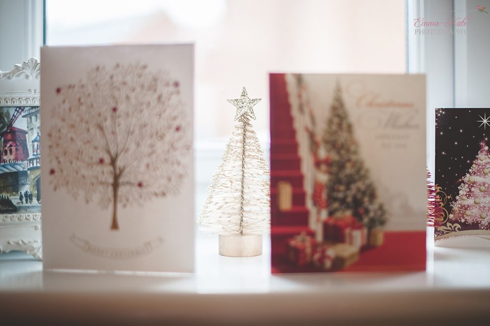 Christmas & mince pies-7