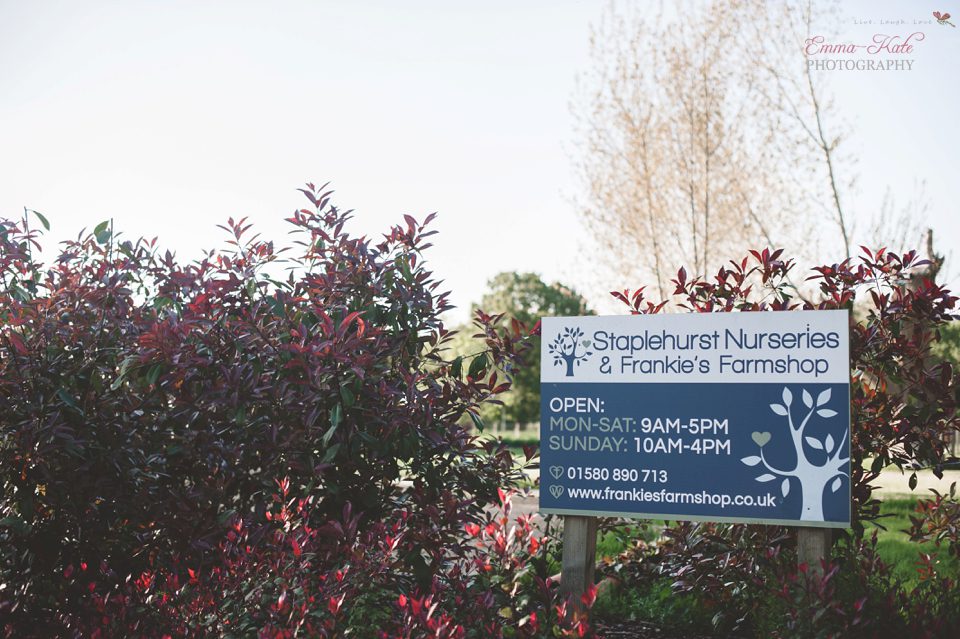 Ginny 60th Birthday Party-1