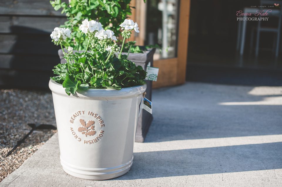 Ginny 60th Birthday Party-19