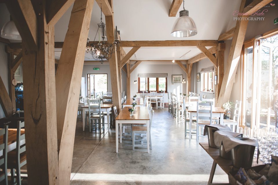 Ginny 60th Birthday Party-6