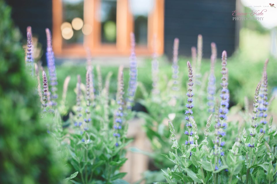 Ginny 60th Birthday Party-82