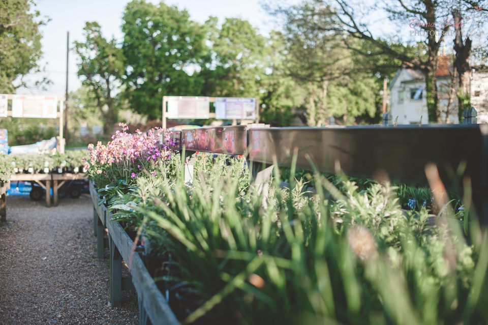 Ginny 60th Birthday Party-83