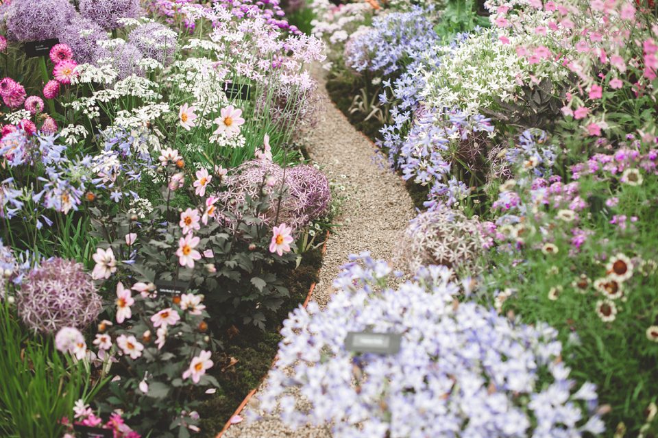 Hampton Court Flower Show-17