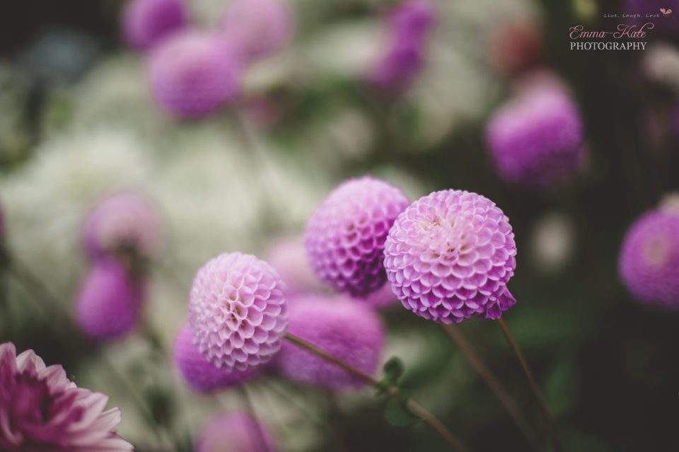 Hampton Court Flower Show-20