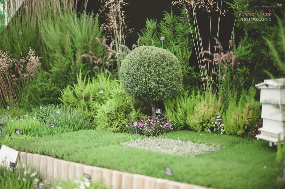Hampton Court Flower Show-23