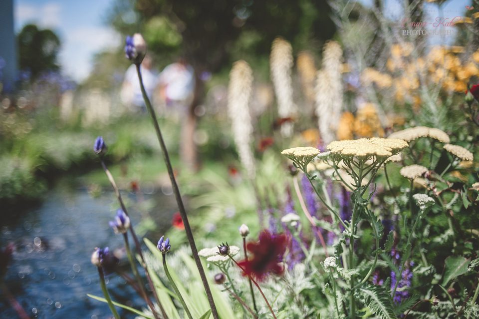 Hampton Court Flower Show-28