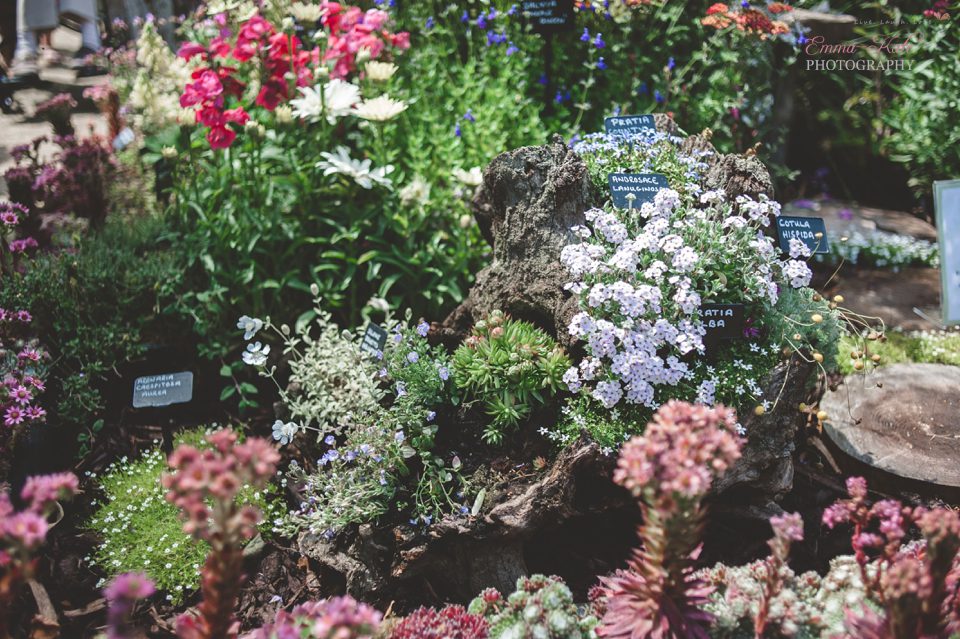 Hampton Court Flower Show-32