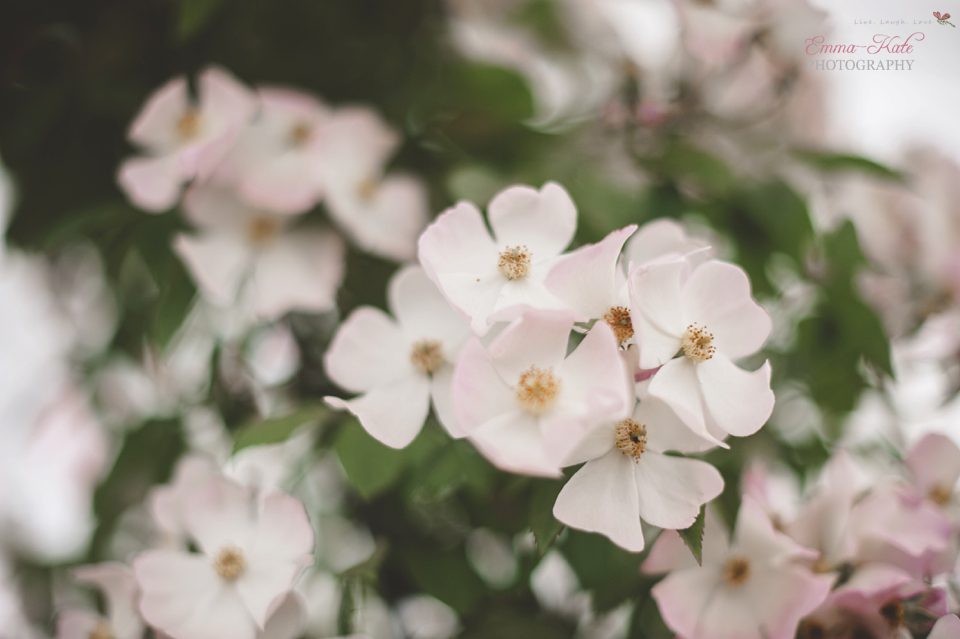 Hampton Court Flower Show-41
